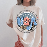 USA Land Of The Free DTF TRANSFER 2547