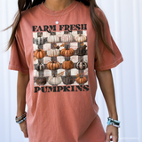 Fall Farm Fresh Pumpkins DTF TRANSFER 8081